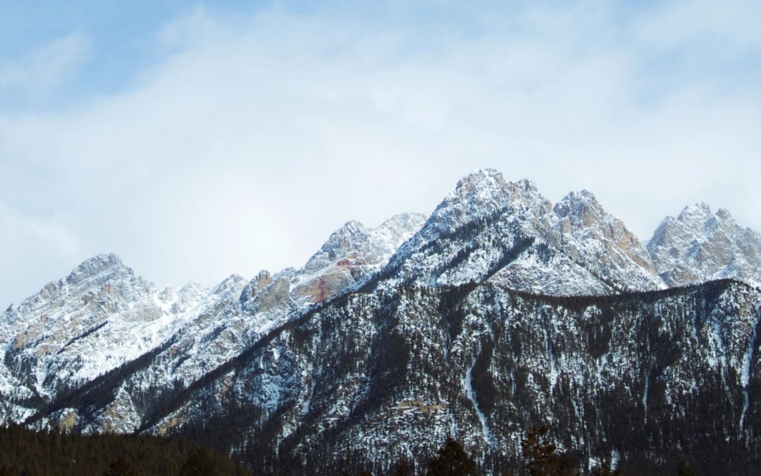 SGIMBC Member Newsletter – Winter 2022