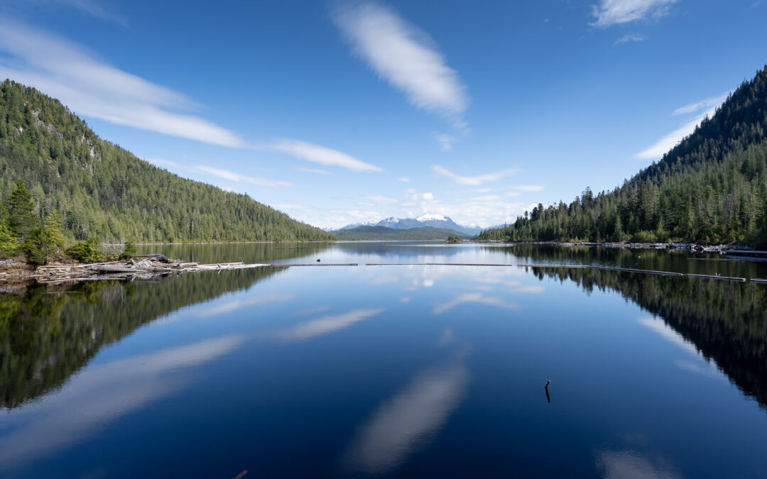 Member Newsletter – September 2025